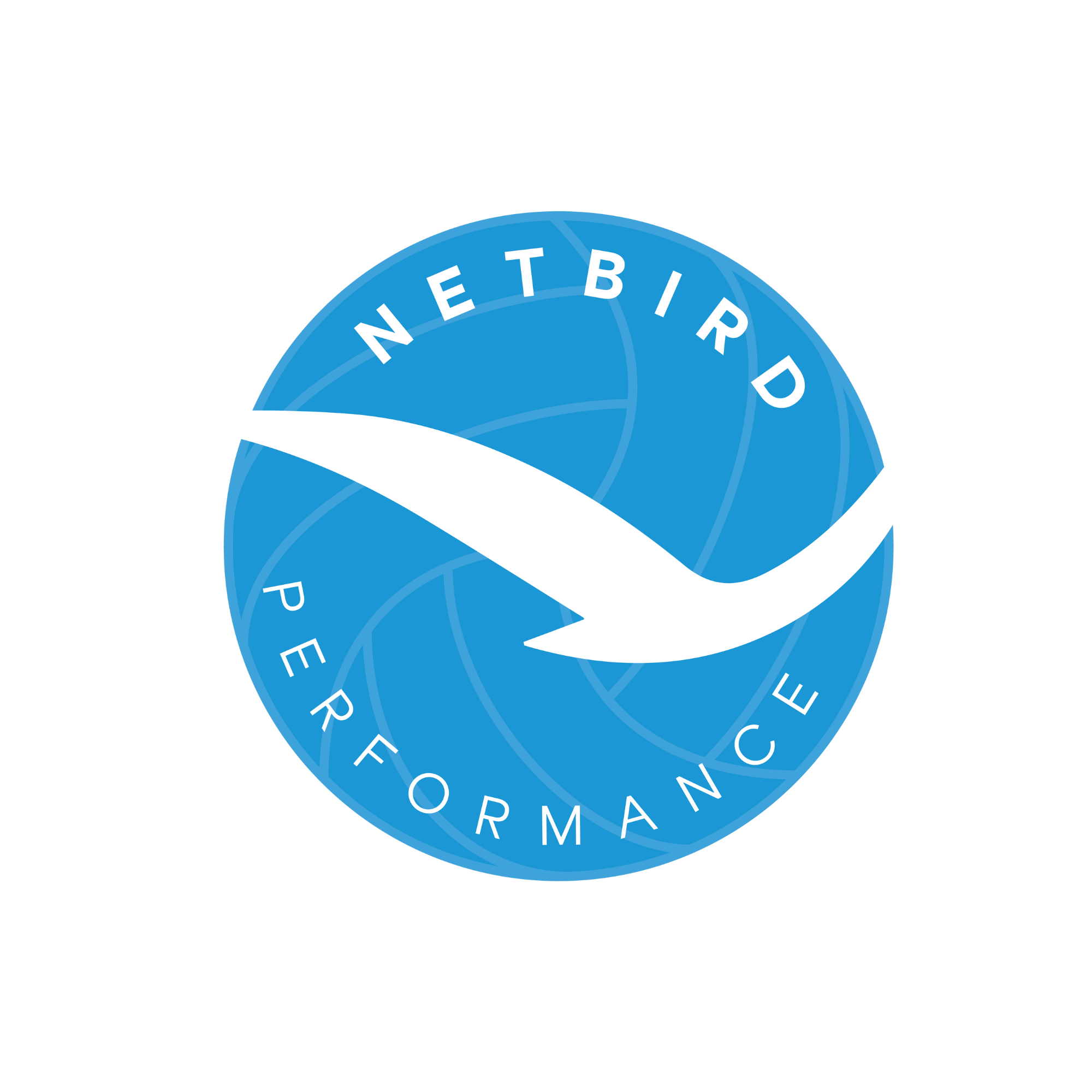 Netbird Performance